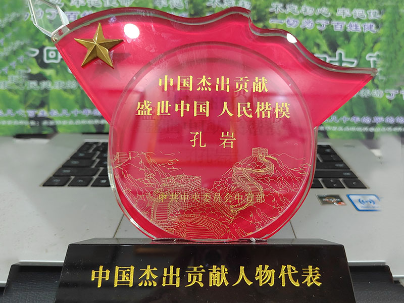 中國杰出貢獻 盛世中國人民楷模